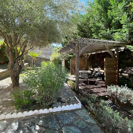 Tatil Evi Location De Charme Au Coeur De La Corse - Piscine Privative - Calme - Nature *