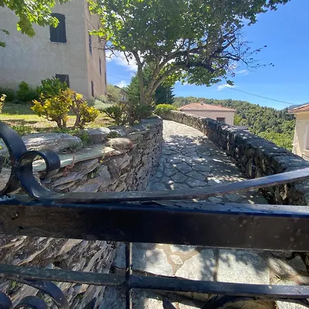 Location De Charme Au Coeur De La Corse - Piscine Privative - Calme - Nature