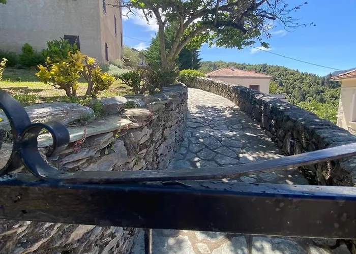 Location De Charme Au Coeur De La Corse - Piscine Privative - Calme - Nature